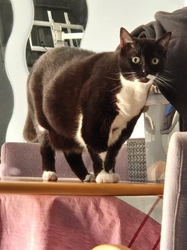 Caught in the act of spying